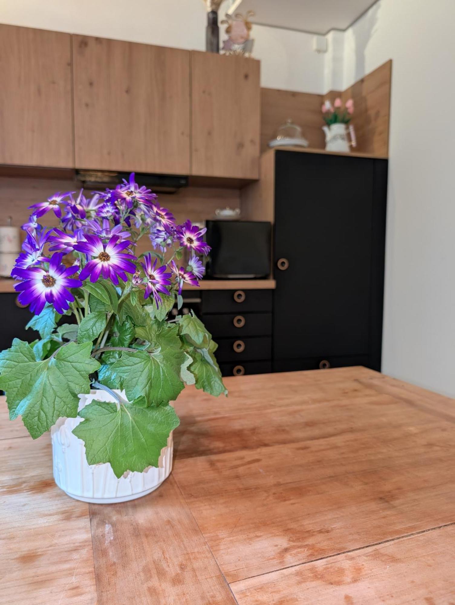 Oskar Apartament Rothenburg ob der Tauber